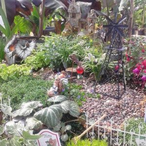 Fairy-Garden
