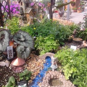 Fairy-Garden