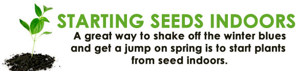 Starting Seeds Indoors